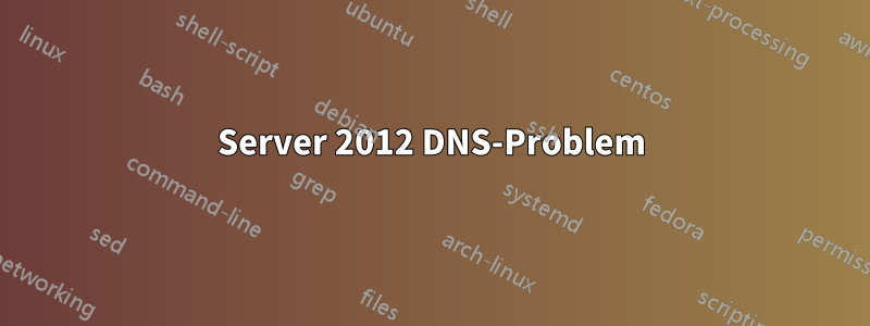 Server 2012 DNS-Problem