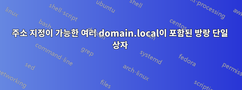 주소 지정이 가능한 여러 domain.local이 포함된 방랑 단일 상자
