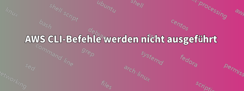 AWS CLI-Befehle werden nicht ausgeführt