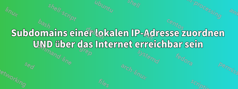 Subdomains einer lokalen IP-Adresse zuordnen UND über das Internet erreichbar sein