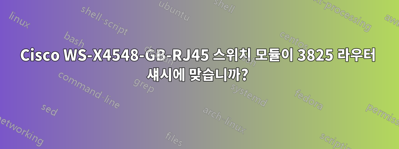 Cisco WS-X4548-GB-RJ45 스위치 모듈이 3825 라우터 섀시에 맞습니까?