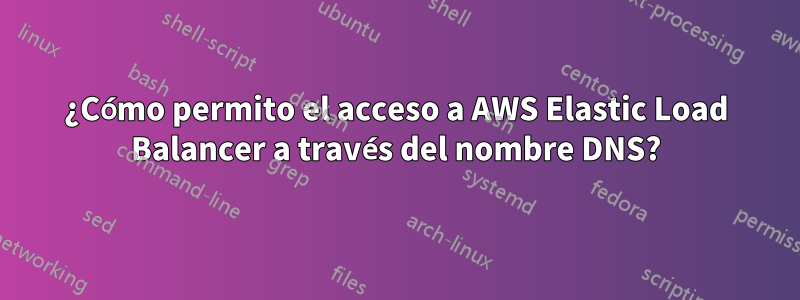 ¿Cómo permito el acceso a AWS Elastic Load Balancer a través del nombre DNS?