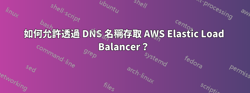 如何允許透過 DNS 名稱存取 AWS Elastic Load Balancer？