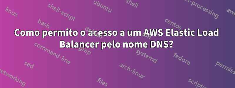 Como permito o acesso a um AWS Elastic Load Balancer pelo nome DNS?