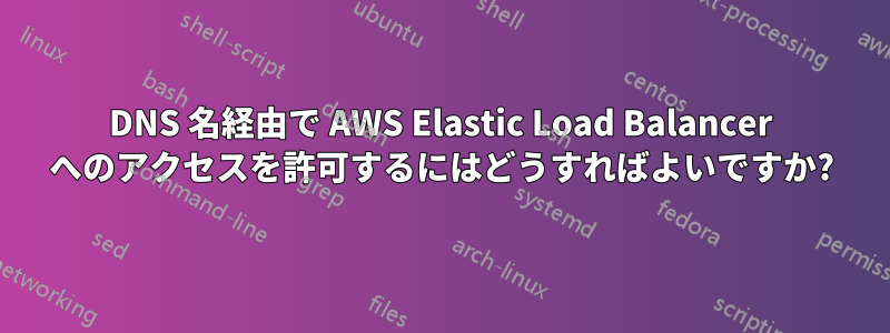 DNS 名経由で AWS Elastic Load Balancer へのアクセスを許可するにはどうすればよいですか?