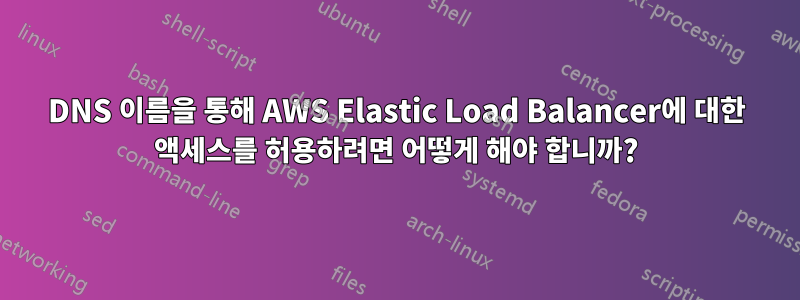 DNS 이름을 통해 AWS Elastic Load Balancer에 대한 액세스를 허용하려면 어떻게 해야 합니까?