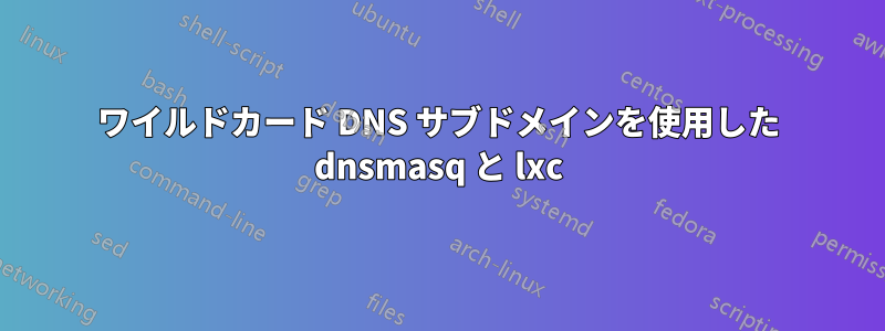 ワイルドカード DNS サブドメインを使用した dnsmasq と lxc