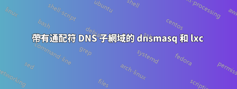 帶有通配符 DNS 子網域的 dnsmasq 和 lxc