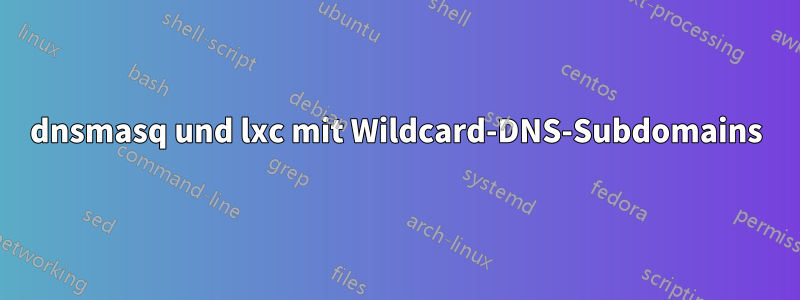 dnsmasq und lxc mit Wildcard-DNS-Subdomains
