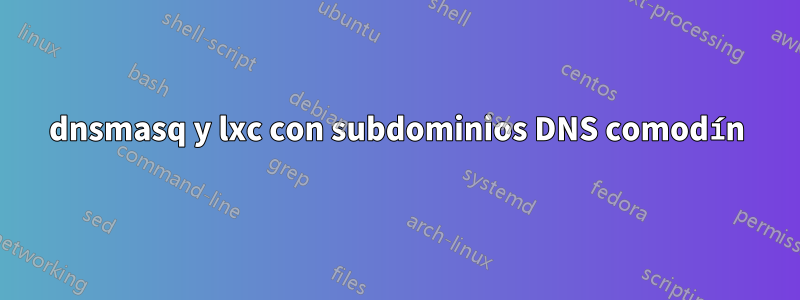 dnsmasq y lxc con subdominios DNS comodín