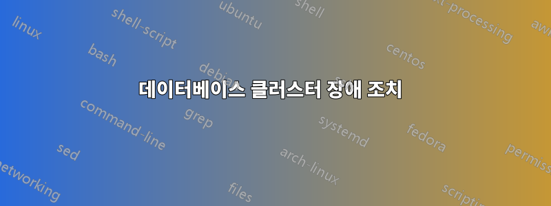 데이터베이스 클러스터 장애 조치 