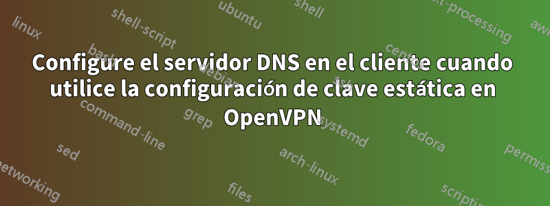 Configure el servidor DNS en el cliente cuando utilice la configuración de clave estática en OpenVPN