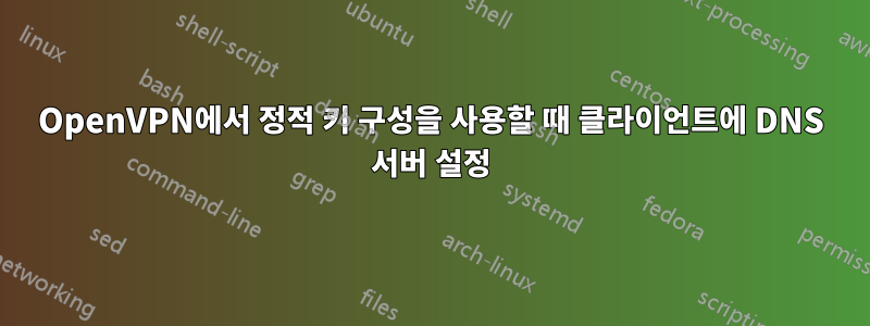 OpenVPN에서 정적 키 구성을 사용할 때 클라이언트에 DNS 서버 설정