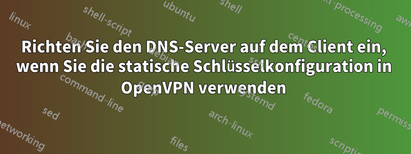 Richten Sie den DNS-Server auf dem Client ein, wenn Sie die statische Schlüsselkonfiguration in OpenVPN verwenden