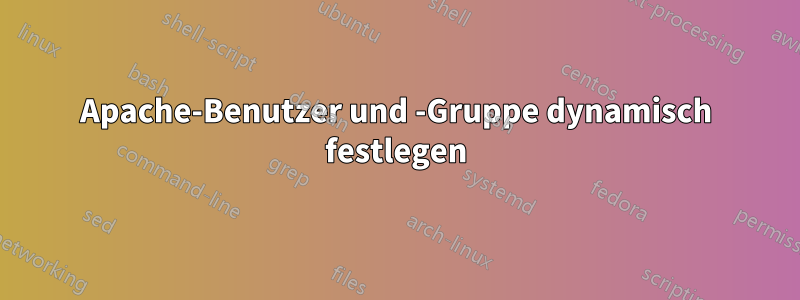 Apache-Benutzer und -Gruppe dynamisch festlegen