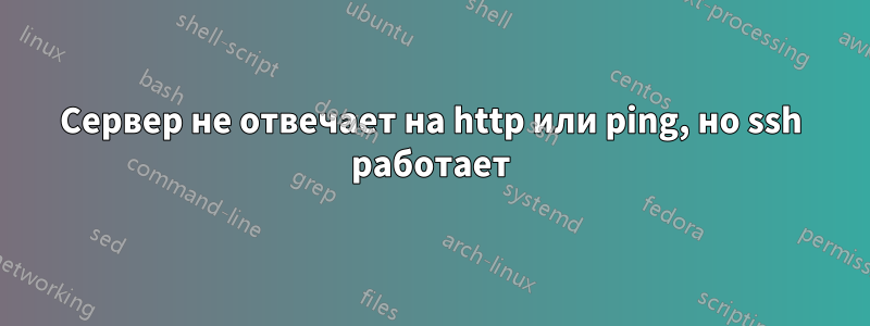 Сервер не отвечает на http или ping, но ssh работает