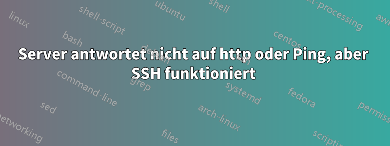 Server antwortet nicht auf http oder Ping, aber SSH funktioniert