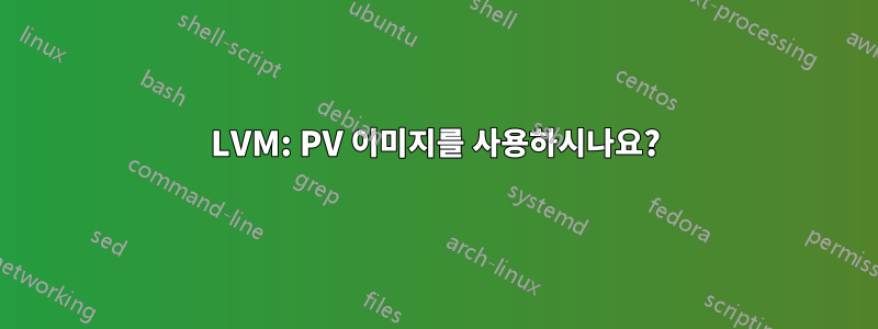 LVM: PV 이미지를 사용하시나요?