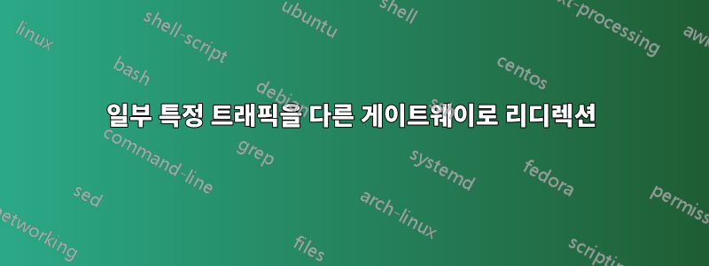 일부 특정 트래픽을 다른 게이트웨이로 리디렉션