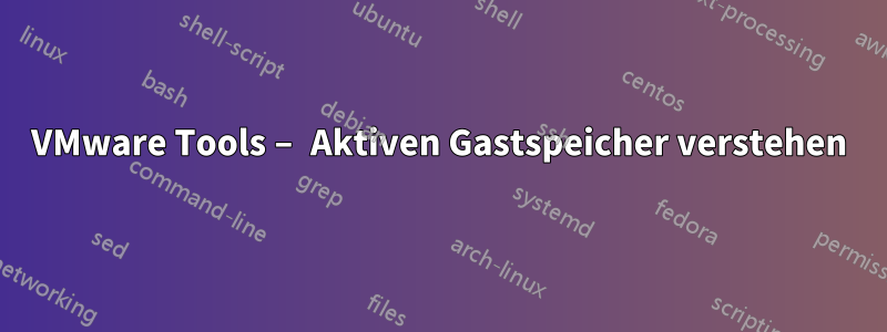 VMware Tools – Aktiven Gastspeicher verstehen