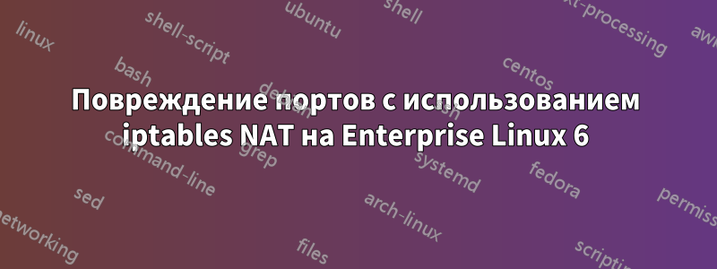 Повреждение портов с использованием iptables NAT на Enterprise Linux 6