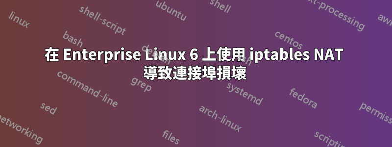 在 Enterprise Linux 6 上使用 iptables NAT 導致連接埠損壞