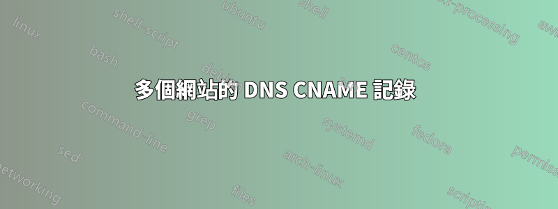 多個網站的 DNS CNAME 記錄