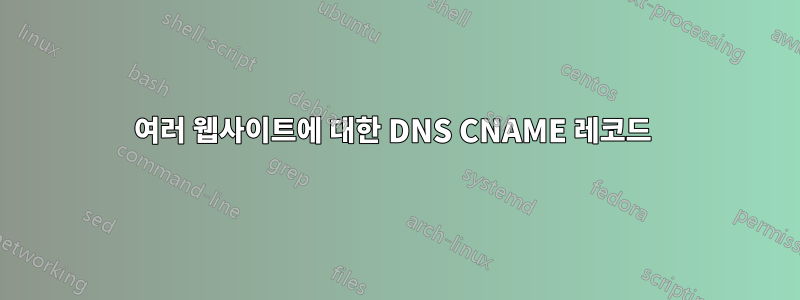 여러 웹사이트에 대한 DNS CNAME 레코드