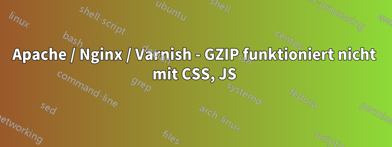 Apache / Nginx / Varnish - GZIP funktioniert nicht mit CSS, JS