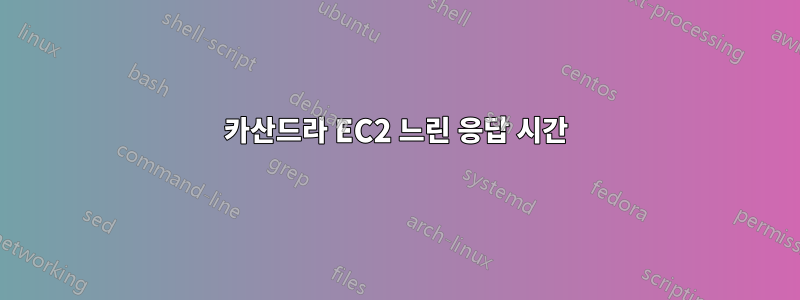 카산드라 EC2 느린 응답 시간