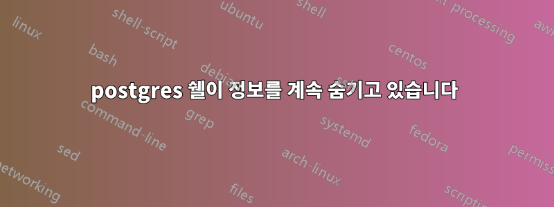 postgres 쉘이 정보를 계속 숨기고 있습니다
