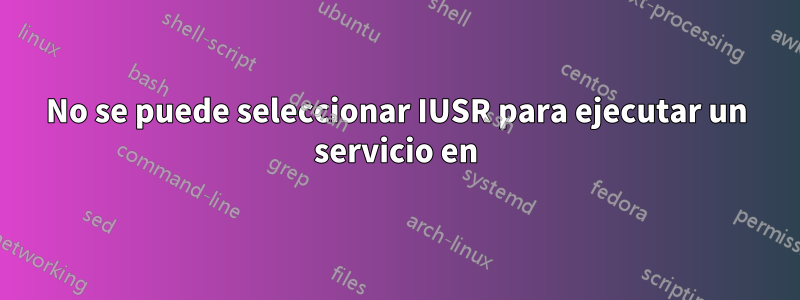 No se puede seleccionar IUSR para ejecutar un servicio en