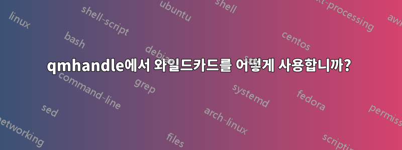 qmhandle에서 와일드카드를 어떻게 사용합니까?
