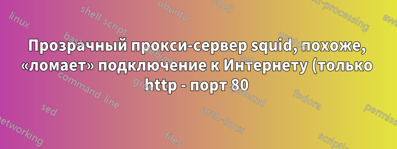 Прозрачный прокси-сервер squid, похоже, «ломает» подключение к Интернету (только http - порт 80)
