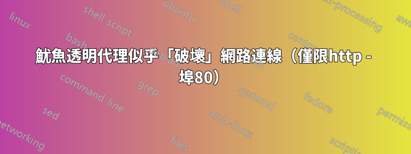 魷魚透明代理似乎「破壞」網路連線（僅限http - 埠80）