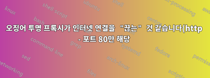 오징어 투명 프록시가 인터넷 연결을 "끊는" 것 같습니다(http - 포트 80만 해당)