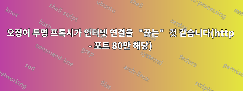 오징어 투명 프록시가 인터넷 연결을 "끊는" 것 같습니다(http - 포트 80만 해당)