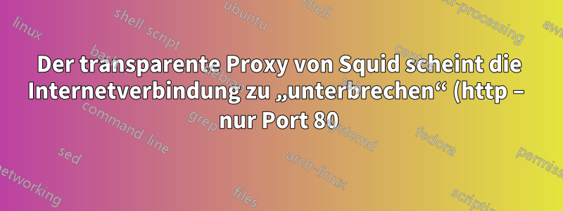 Der transparente Proxy von Squid scheint die Internetverbindung zu „unterbrechen“ (http – nur Port 80)