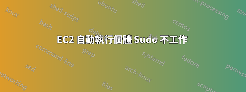 EC2 自動執行個體 Sudo 不工作