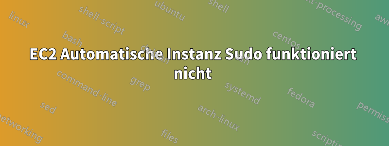 EC2 Automatische Instanz Sudo funktioniert nicht