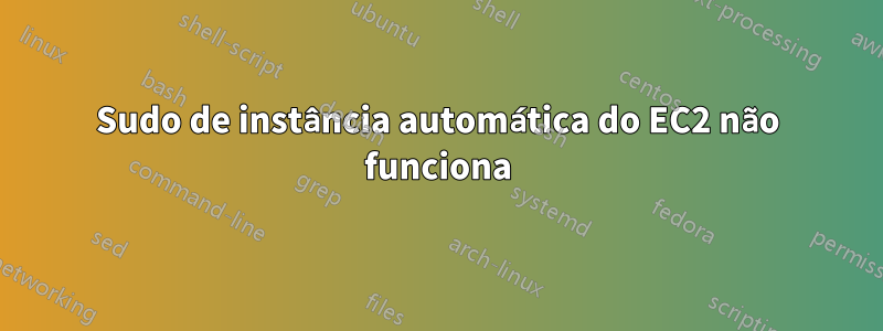 Sudo de instância automática do EC2 não funciona