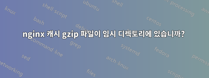 nginx 캐시 gzip 파일이 임시 디렉토리에 있습니까?
