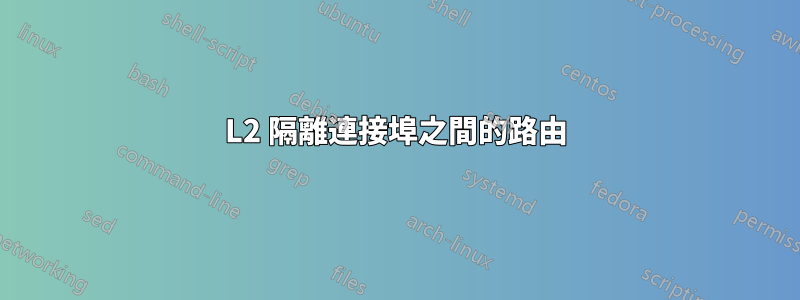 L2 隔離連接埠之間的路由