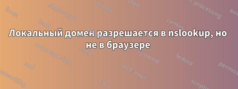 Локальный домен разрешается в nslookup, но не в браузере