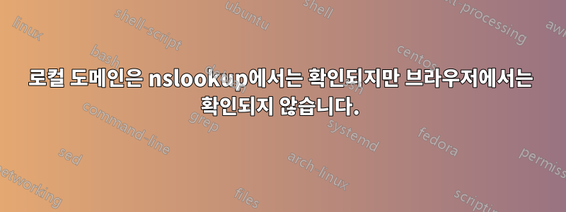 로컬 도메인은 nslookup에서는 확인되지만 브라우저에서는 확인되지 않습니다.