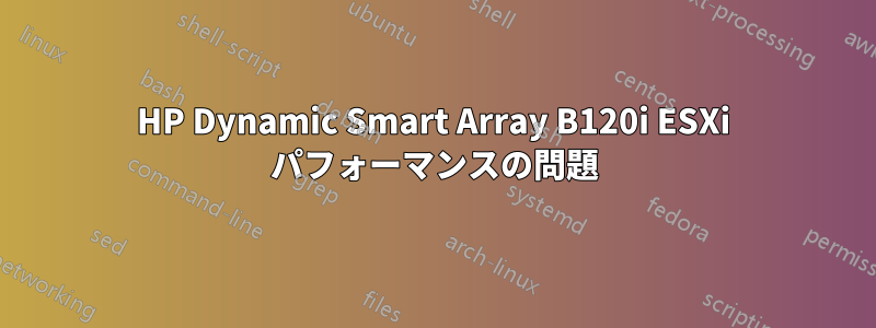 HP Dynamic Smart Array B120i ESXi パフォーマンスの問題