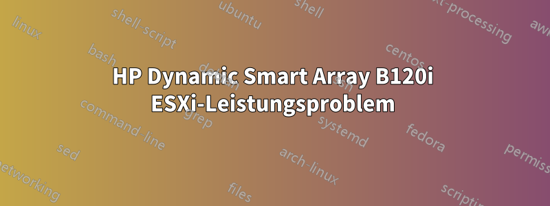 HP Dynamic Smart Array B120i ESXi-Leistungsproblem