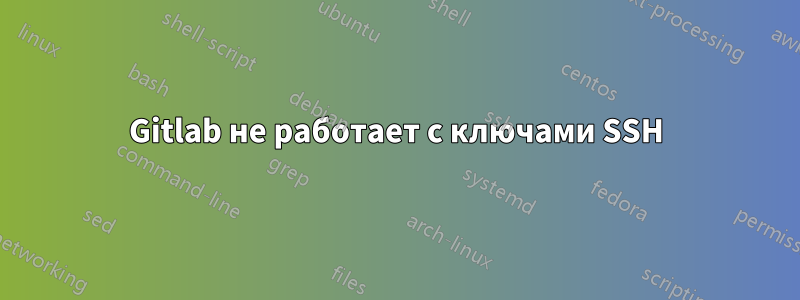 Gitlab не работает с ключами SSH