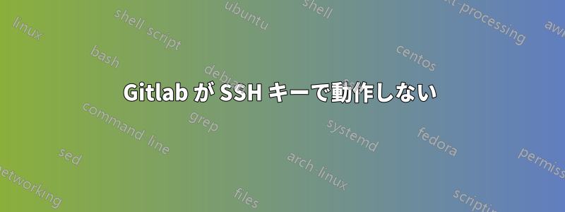 Gitlab が SSH キーで動作しない