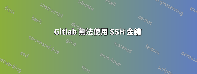 Gitlab 無法使用 SSH 金鑰